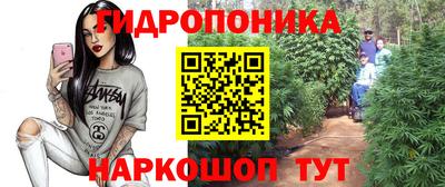 spice Свободный