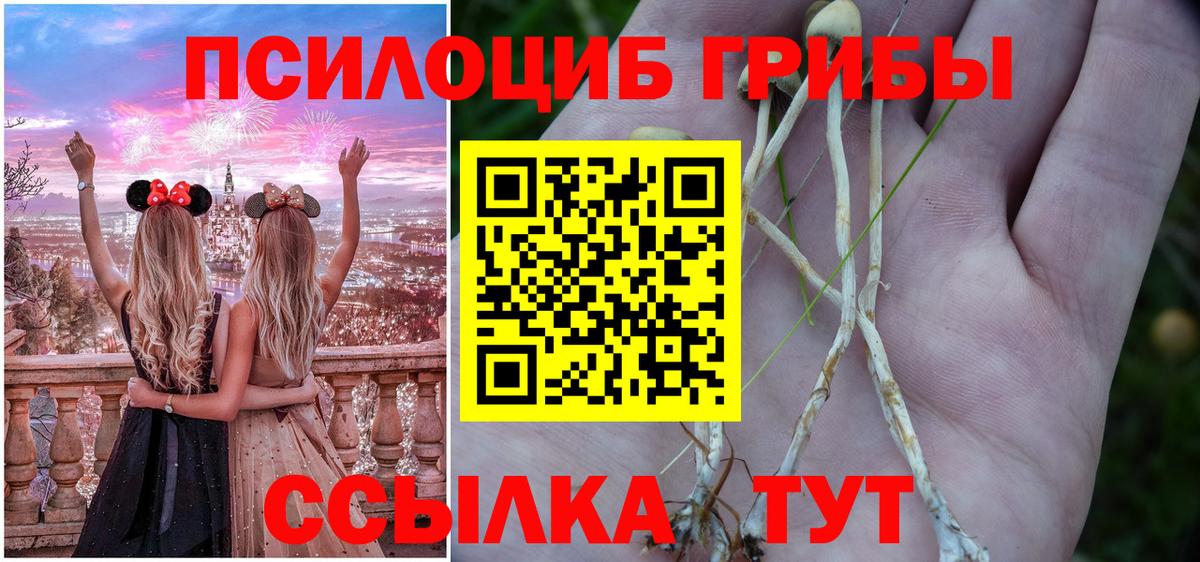 Псилоцибиновые грибы MAGIC MUSHROOMS Махачкала