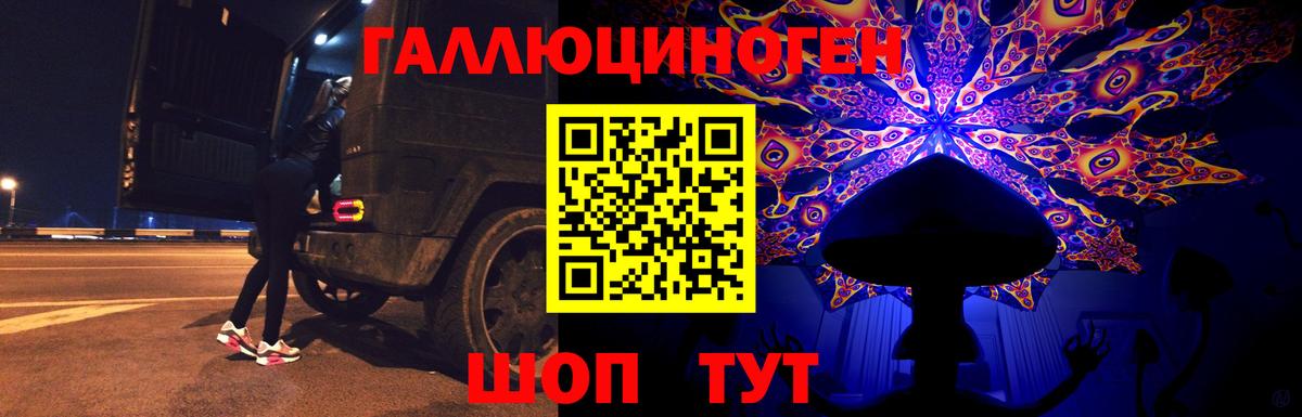 Махачкала  Галлюциногенные грибы Psilocybe  Вход с VPN 